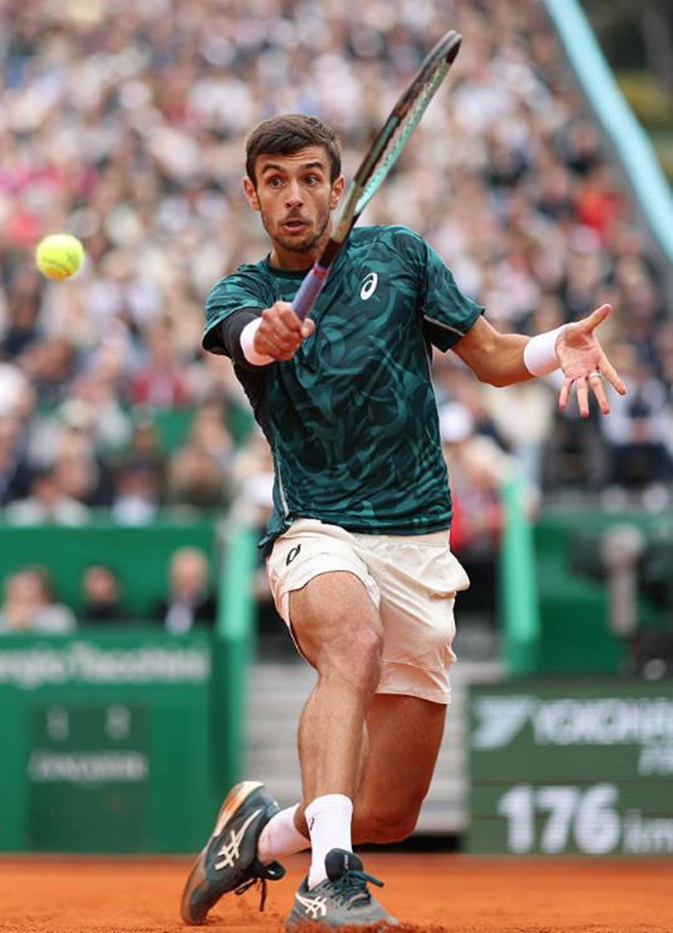 局都专注而 局都专注而